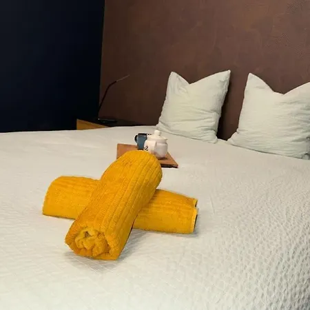 évasion Crampel Cosy Proche Centre * Toulouse